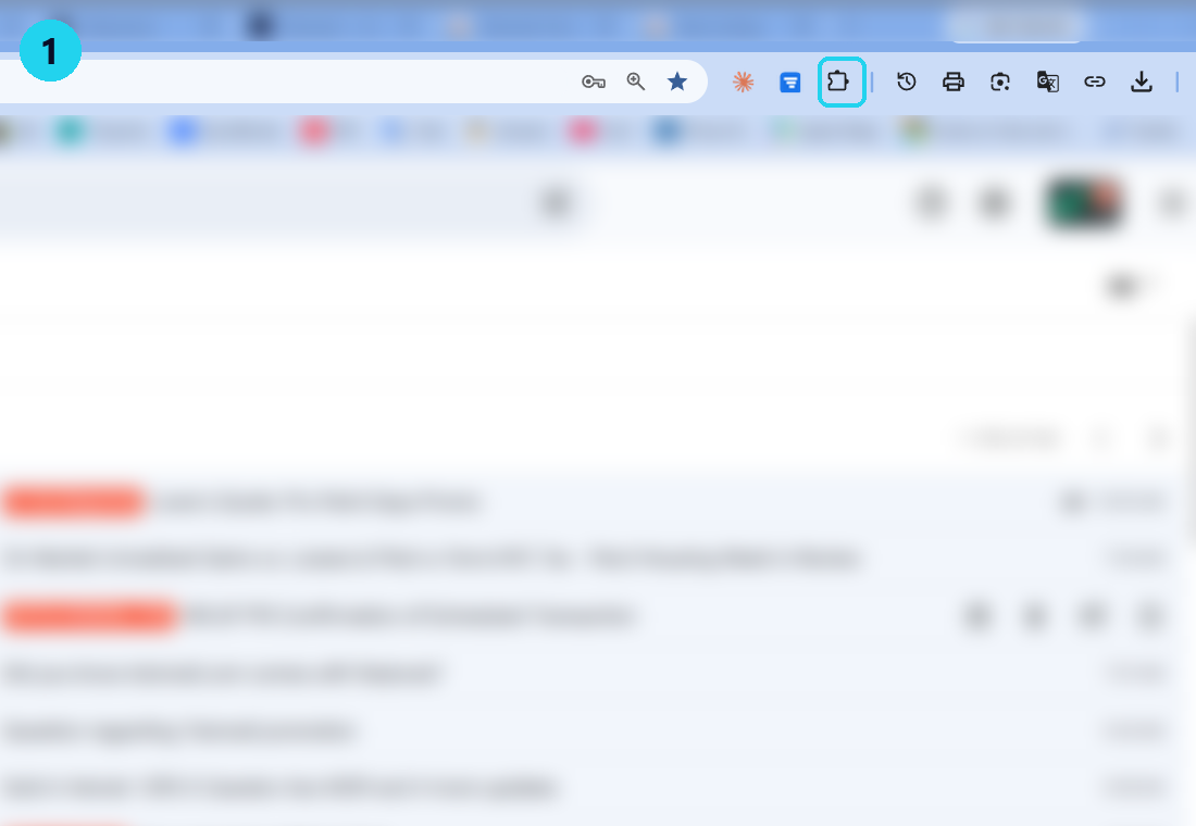 Chrome toolbar with the Extensions puzzle icon highlighted.